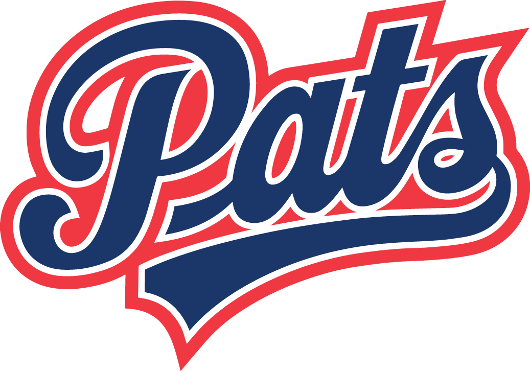 Regina Pats 2014-Pres Primary Logo iron on transfers for T-shirts